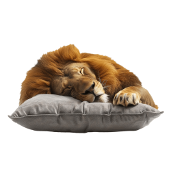 Mientras la Bestia Duerme Meme Template