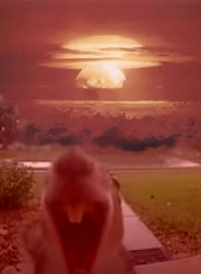 nuclear squirrel Meme Template