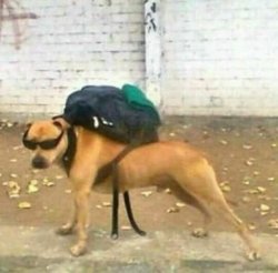 Chrisjoines1 Meme Template