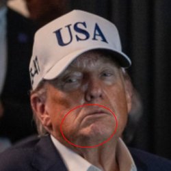 Trumps stroke face Meme Template