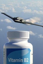 vitamin B2 Meme Template