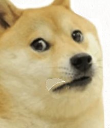Doge disappointment :( Meme Template