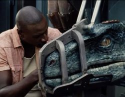 Raptor preparation Meme Template