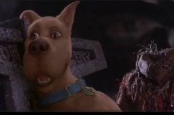 Scooby Meme Template