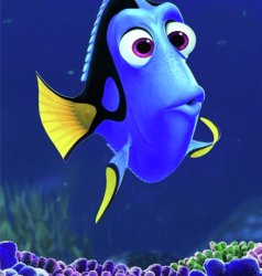 dory Meme Template