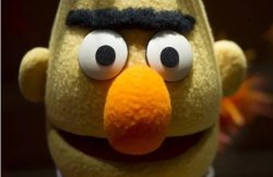 Bernie explains Meme Template