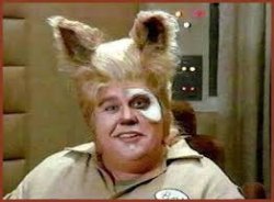 look druish Meme Template