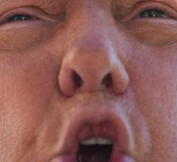 Ugly trump Meme Template