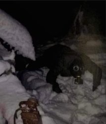 Russian Cryptid Man Meme Template