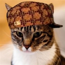 Scumbag Cat Meme Template