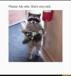 Please my wife she's very sick Meme Template