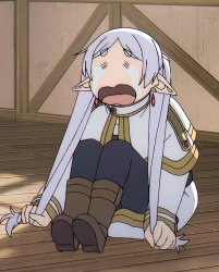 Crying Frieren Meme Template