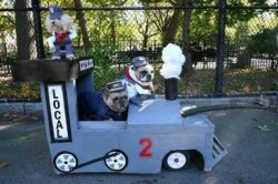 Dogs train Meme Template