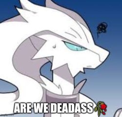 reshiram are we deadass Meme Template