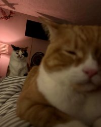 he stole her spot Meme Template