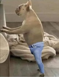 Chrisjoines1 Meme Template