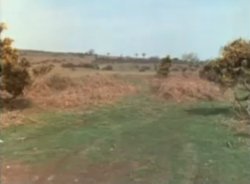 How not to be seen (Monty Python) Meme Template