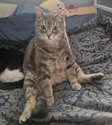 God is watching Meme Template