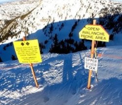 Silver Fox gate Meme Template