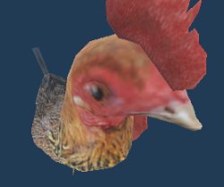 NO EGGS? Meme Template