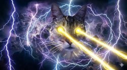 Racist cat Meme Template