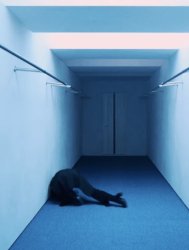 Ado Shrimp Meme Template