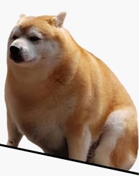 fat cheems Meme Template