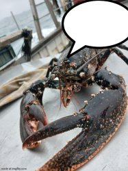 lobter speech bubble Meme Template