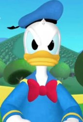 Pissed off donald duck Meme Template