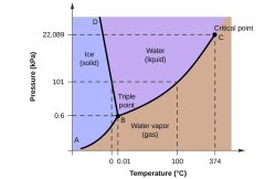 PT Phase Diagram for Water Meme Template