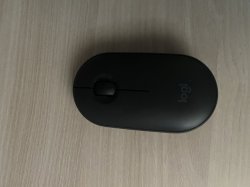 true mouse picture Meme Template