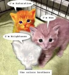 three brothers Meme Template