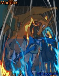 maddox and potassium - charizard and lucario temp Meme Template