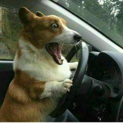 Chrisjoines1 Meme Template