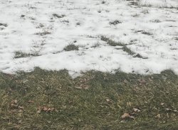 Who did? God did Meme Template