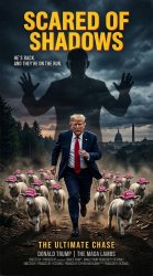 SCARED OF SHADOWS Meme Template