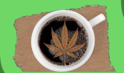 wake & bake Meme Template