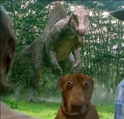 Its right behind me Meme Template