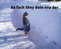 Dafuq u doin Randos - Apex Legends Meme Template