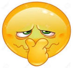 emoticon covering nose Meme Template