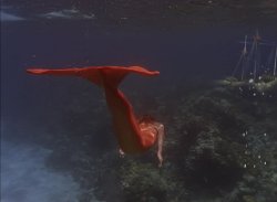 shinkin ship Meme Template