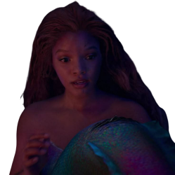 Halle's tail Meme Template