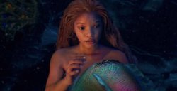 Ariel's tail Meme Template