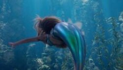 halle swims away Meme Template