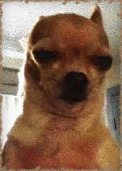 Look at me Meme Template