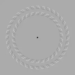 ILLUSION Meme Template