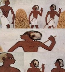 cleitin Meme Template