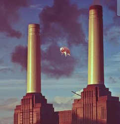 Pigs on the wing Meme Template