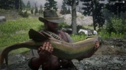 you sir are a fish Meme Template