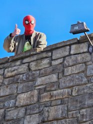 Spider-Man on roof Meme Template